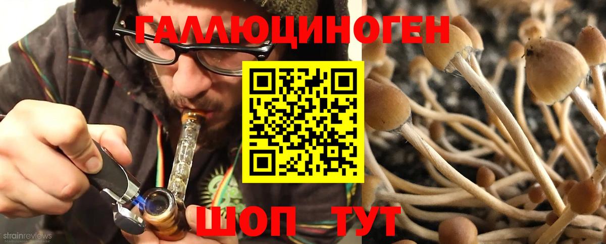 Семёнов  Псилоцибиновые грибы Cubensis  Вход с VPN  Галлюциногенные грибы Magic Shrooms 